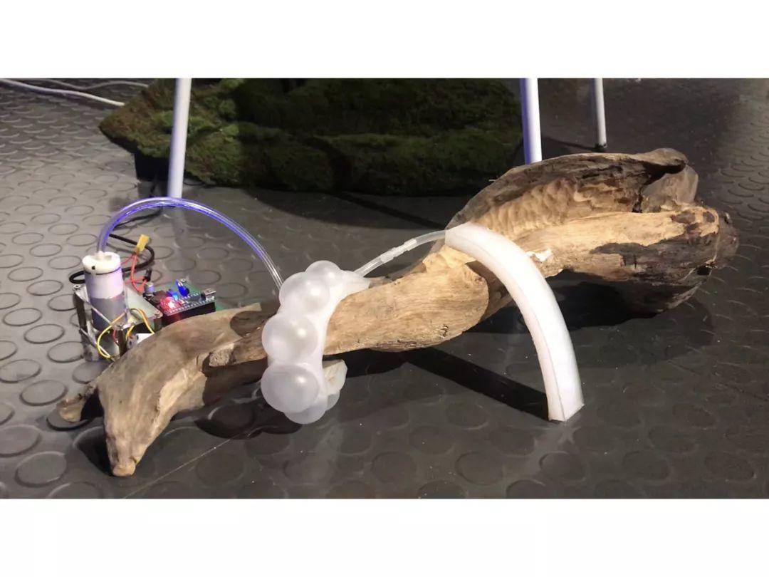 天津美术学院实验艺术学院2019届研究生毕业作品展 天津美术学院实验艺术学院2019届研究生毕业作品展