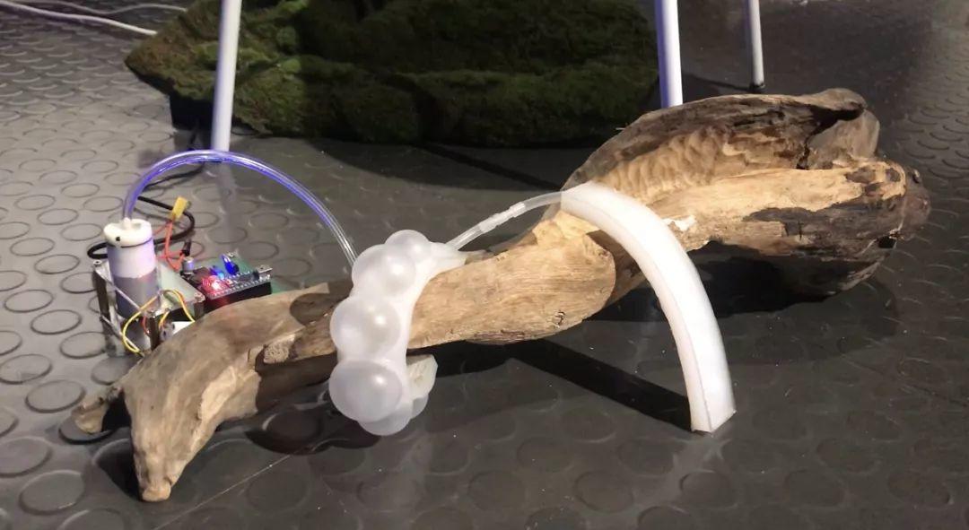 天津美术学院实验艺术学院2019届研究生毕业作品展 天津美术学院实验艺术学院2019届研究生毕业作品展