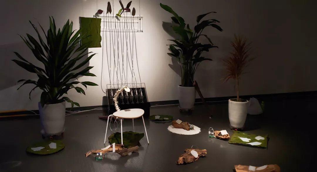 天津美术学院实验艺术学院2019届研究生毕业作品展 天津美术学院实验艺术学院2019届研究生毕业作品展