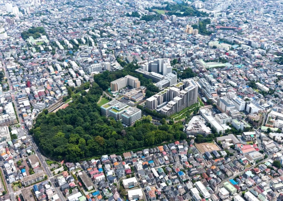 2019年GOOD DESIGN AWARD Best100获奖作品