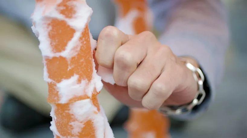 2019武藏野美术大学优秀毕业作品展 2019武藏野美术大学优秀毕业作品展