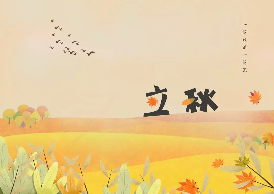 2019年二十四节气创意计划 | 立秋