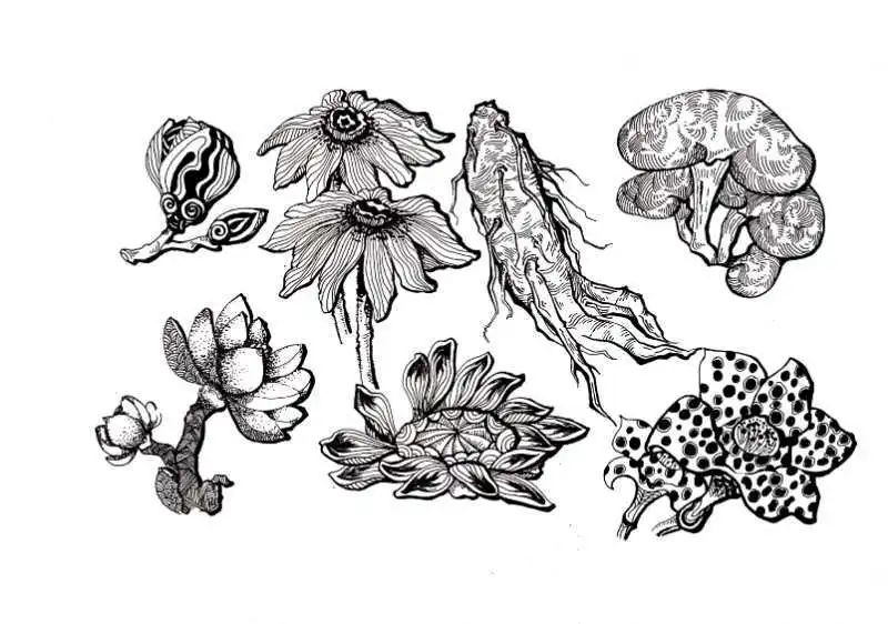 【线上展览】2019级视觉传达设计专业 《创意插画与图案设计》课程教学成果展 【线上展览】2019级视觉传达设计专业 《创意插画与图案设计》课程教学成果展