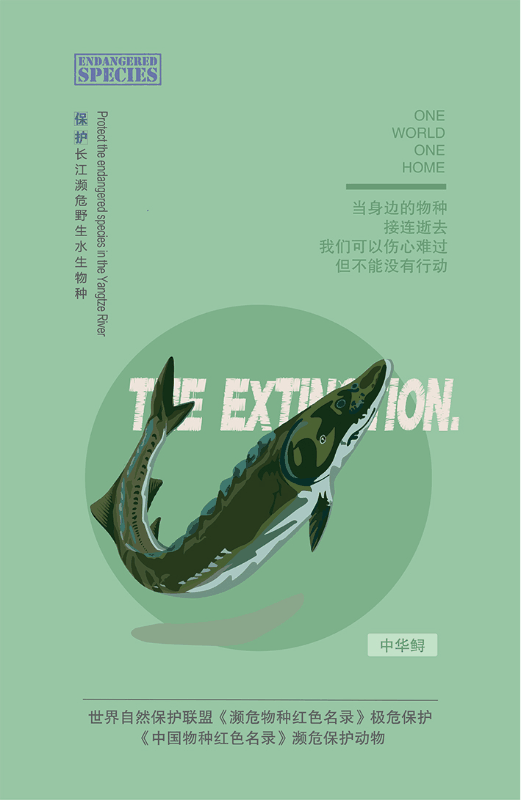 中国美术学院设计艺术学院2020届设计艺术学系毕业作品 | 阅读危机