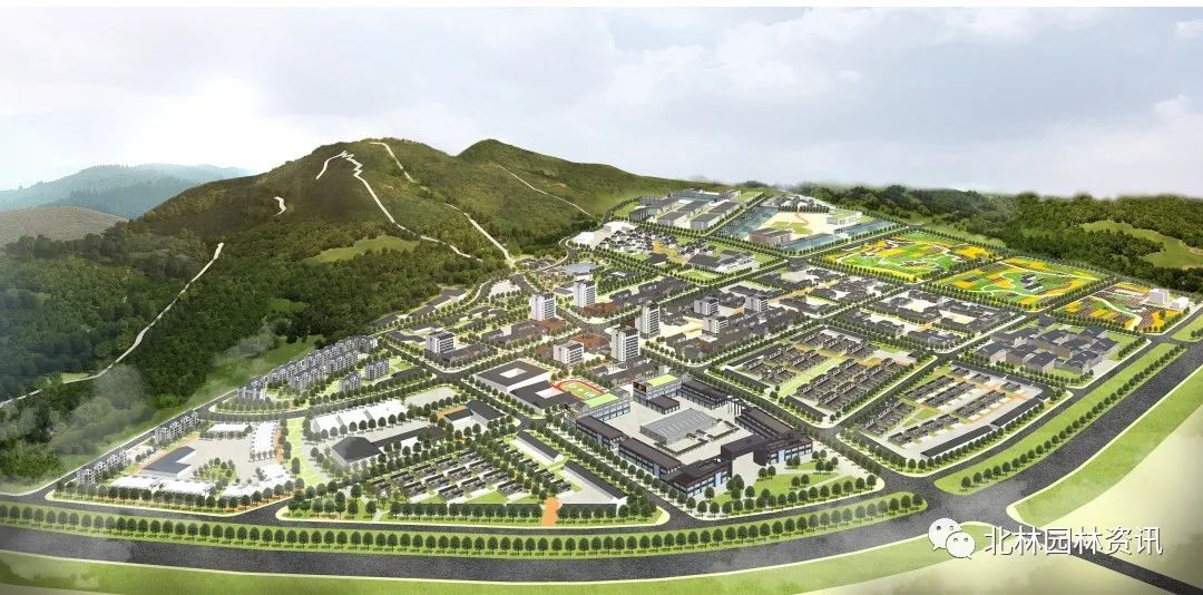 灵感日志丨北林园林学院2020届本科毕业设计展(城乡规划专业) 灵感日志丨北林园林学院2020届本科毕业设计展(城乡规划专业)