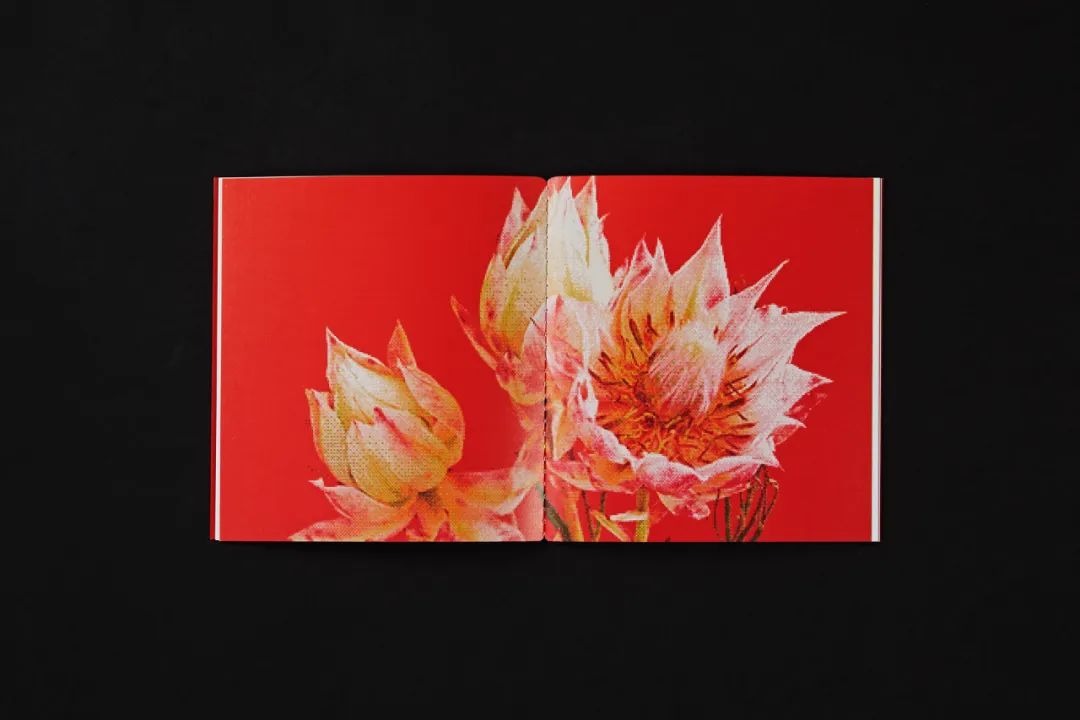 第31届金曲奖最佳装帧设计奖入围名单出炉!真,八仙过海各显神通 第31届金曲奖最佳装帧设计奖入围名单出炉!真,八仙过海各显神通