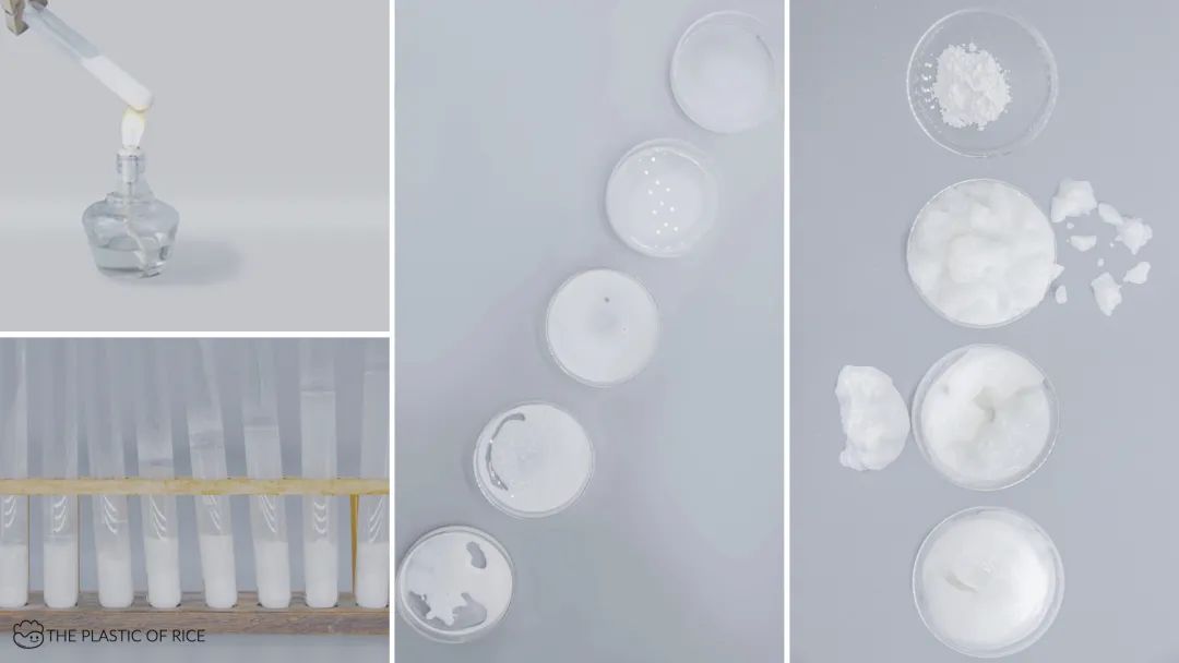 中央美术学院设计学院本科生毕业作品展 ⑩ 中央美术学院设计学院本科生毕业作品展 ⑩