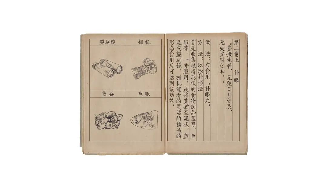 中央美术学院设计学院本科生毕业作品展 ⑫ 中央美术学院设计学院本科生毕业作品展 ⑫